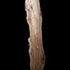 Asse in legno grezzo di castagno segato da tronco H300 L 95-70 P8 Aurora -  XLAB Design